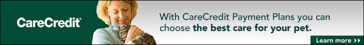 CareCredit Payment Plans Available